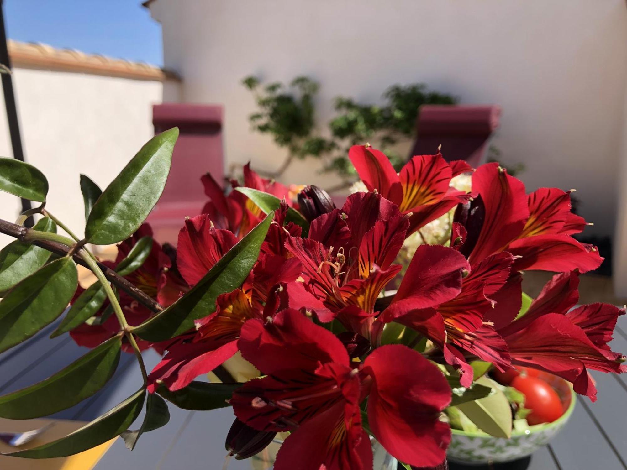 Gites La Catalane Theza Zimmer foto